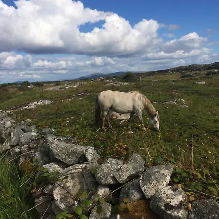 Faul House 4* Clifden