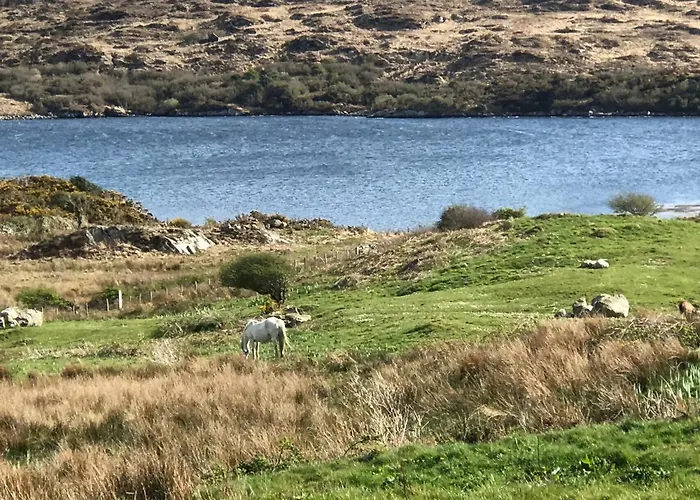 Faul House Gæstehus