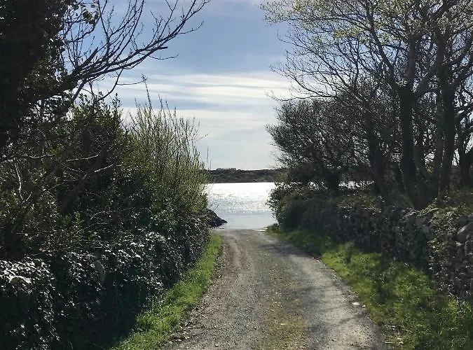 Gæstehus Faul House 4*