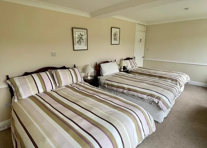 Faul House 4*