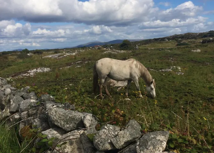 Faul House 4* Clifden
